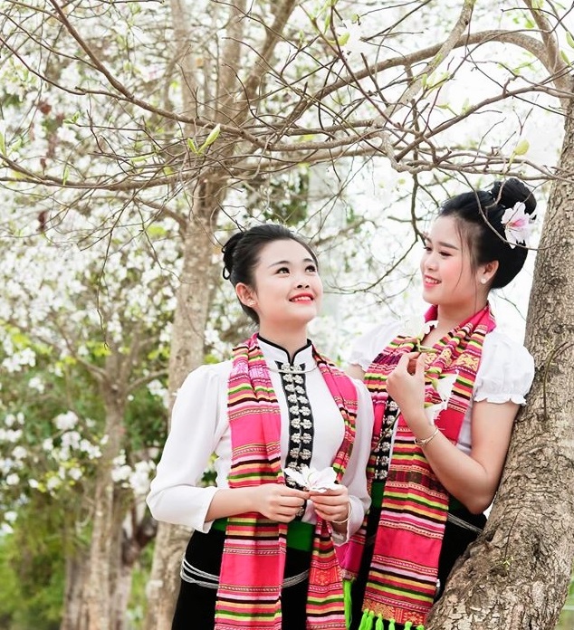 Yên Bái: Tháng Ba Nghĩa Lộ, trắng trời hoa ban