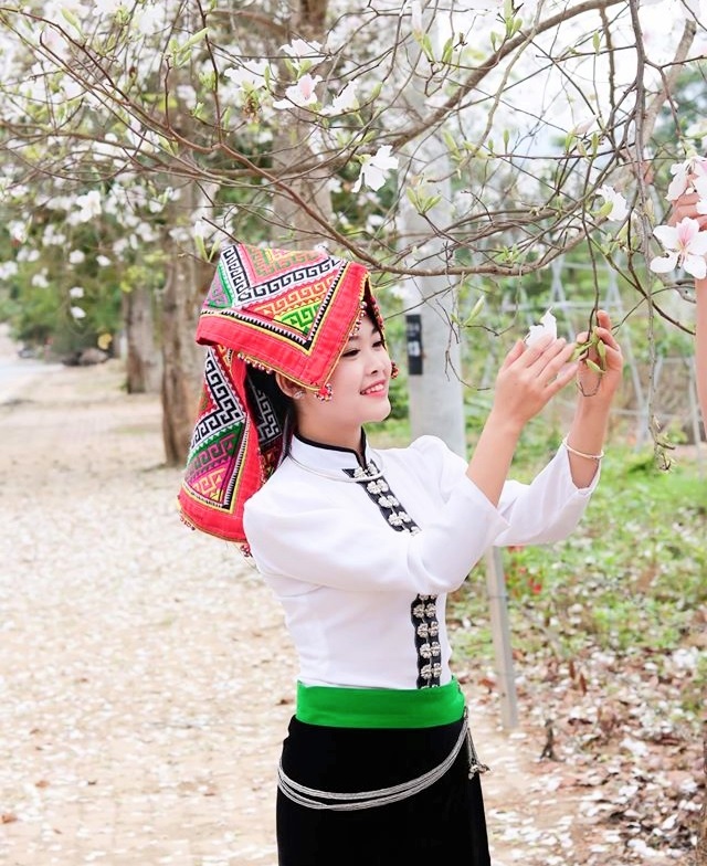 Yên Bái: Tháng Ba Nghĩa Lộ, trắng trời hoa ban