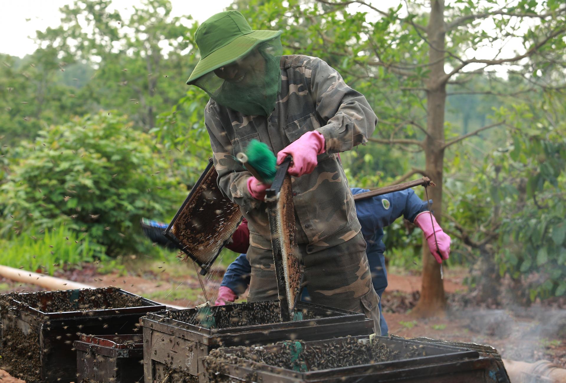 Tháng Ba mùa con ong đi lấy mật