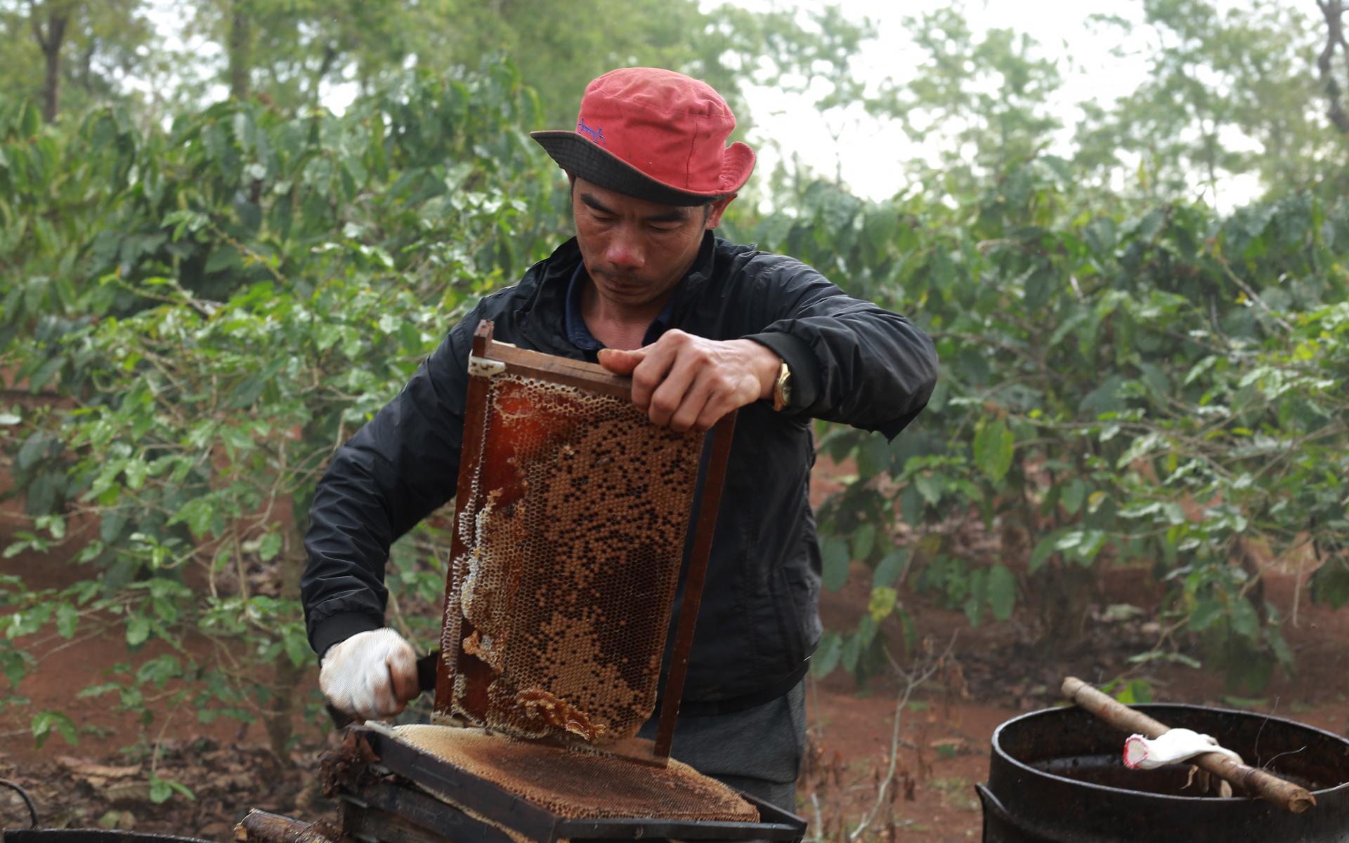 Tháng Ba mùa con ong đi lấy mật