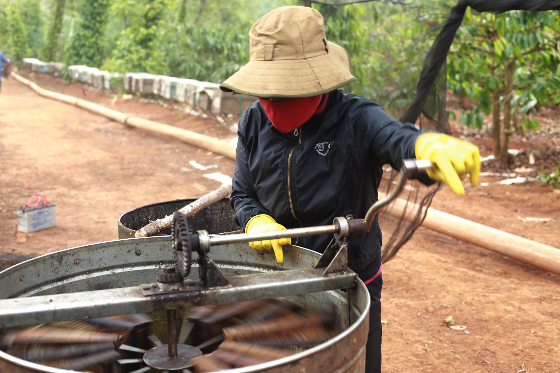 Tháng Ba mùa con ong đi lấy mật