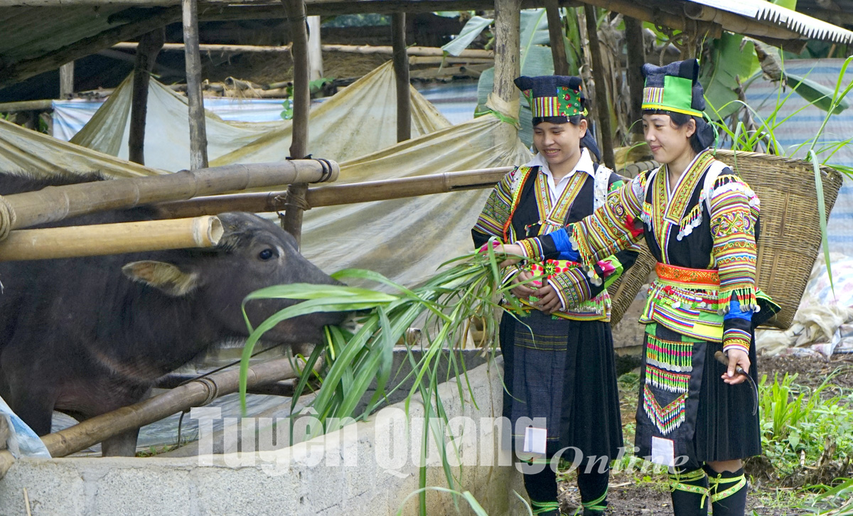 Bản sắc người Mông đen Chẩu Quân
