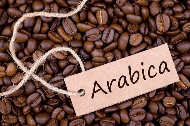 Giá cà phê hôm nay 25/6: Robusta bật tăng mạnh mẽ, trong nước đồng loạt vượt mốc 35.000 đồng/kg
