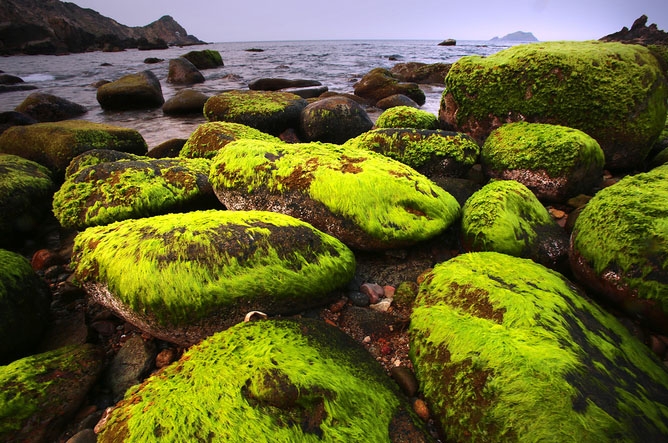 Đắm mình trong cảnh sắc tuyệt đẹp ở Eo Gió   Quy Nhơn