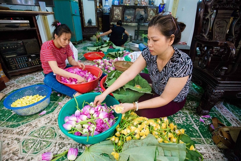 muc so thi quy trinh uop de nhat tra ha noi