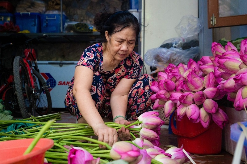 muc so thi quy trinh uop de nhat tra ha noi