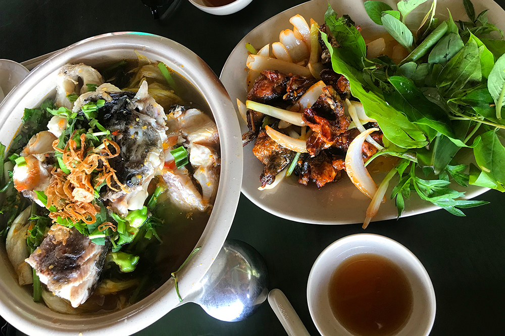 Về Làng nổi Tân Lập - Check-in “đường xuyên rừng tràm đẹp nhất Việt Nam”