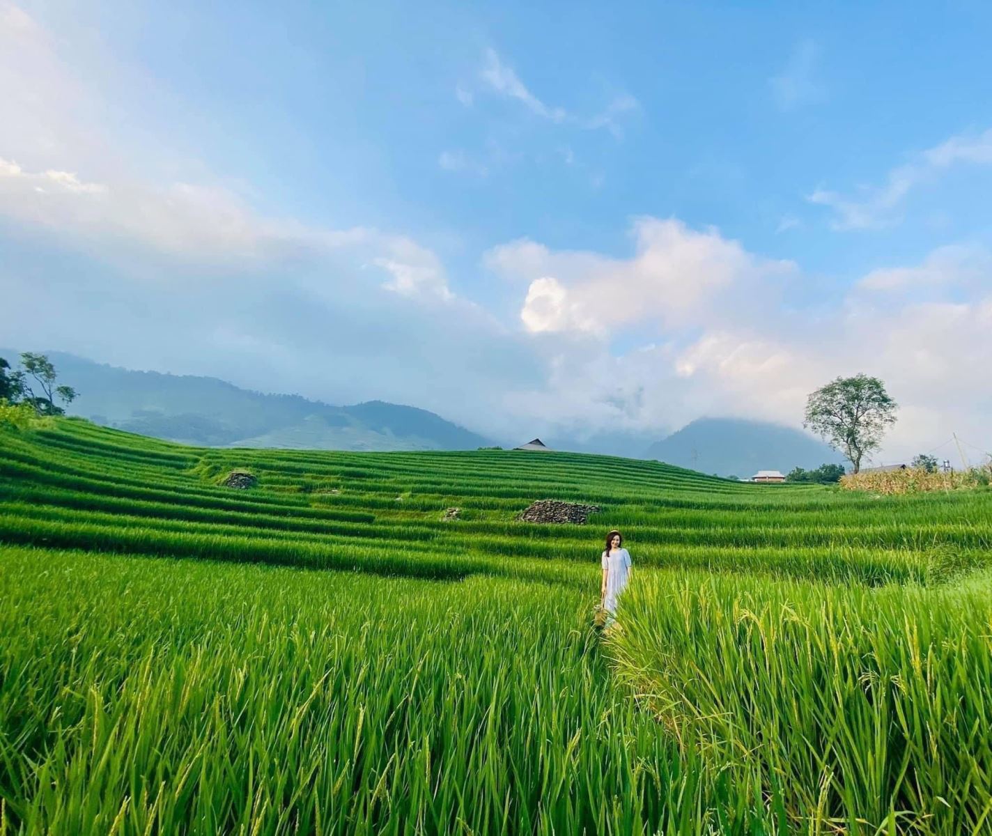 Du lịch Sa Pa tận hưởng mùa hè tuyệt vời của miền Bắc Việt Nam Du lịch Sa Pa tận hưởng mùa hè tuyệt vời của miền Bắc Việt Nam