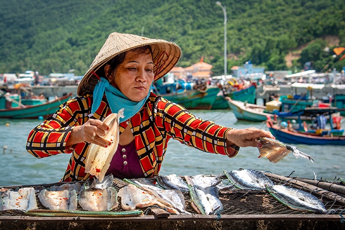 Khám phá ở Nam Du Khám phá ở Nam Du