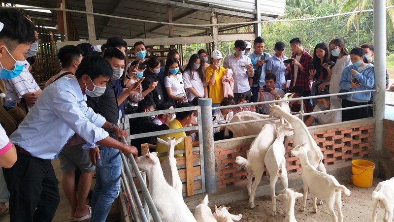 Những mô hình du lịch độc đáo ở Tiền Giang Những mô hình du lịch độc đáo ở Tiền Giang