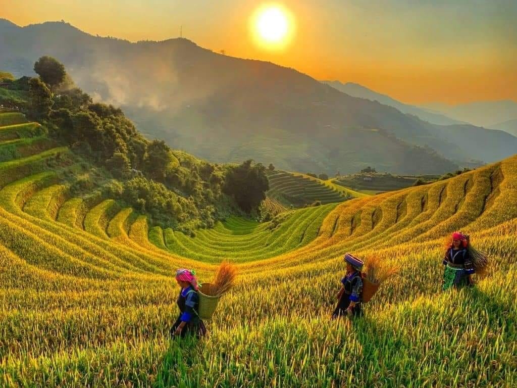 Yên Bái: Nhiều hoạt động chào đón du khách đến với Mù Cang Chải