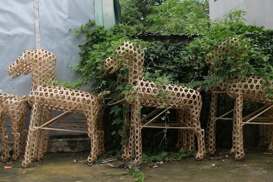 Hà Nội: 