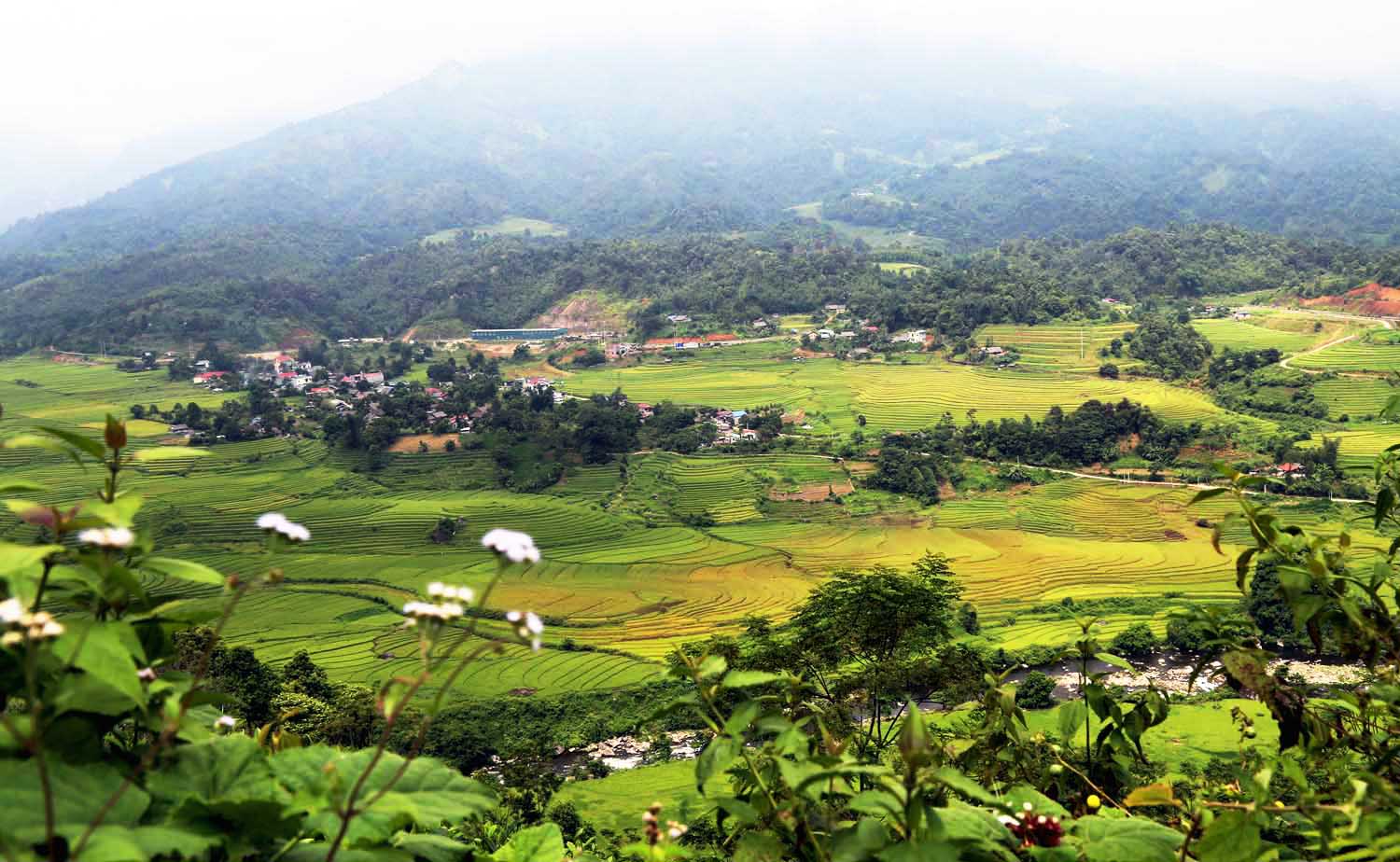 Vùng cao Bát Xát mùa lúa chín