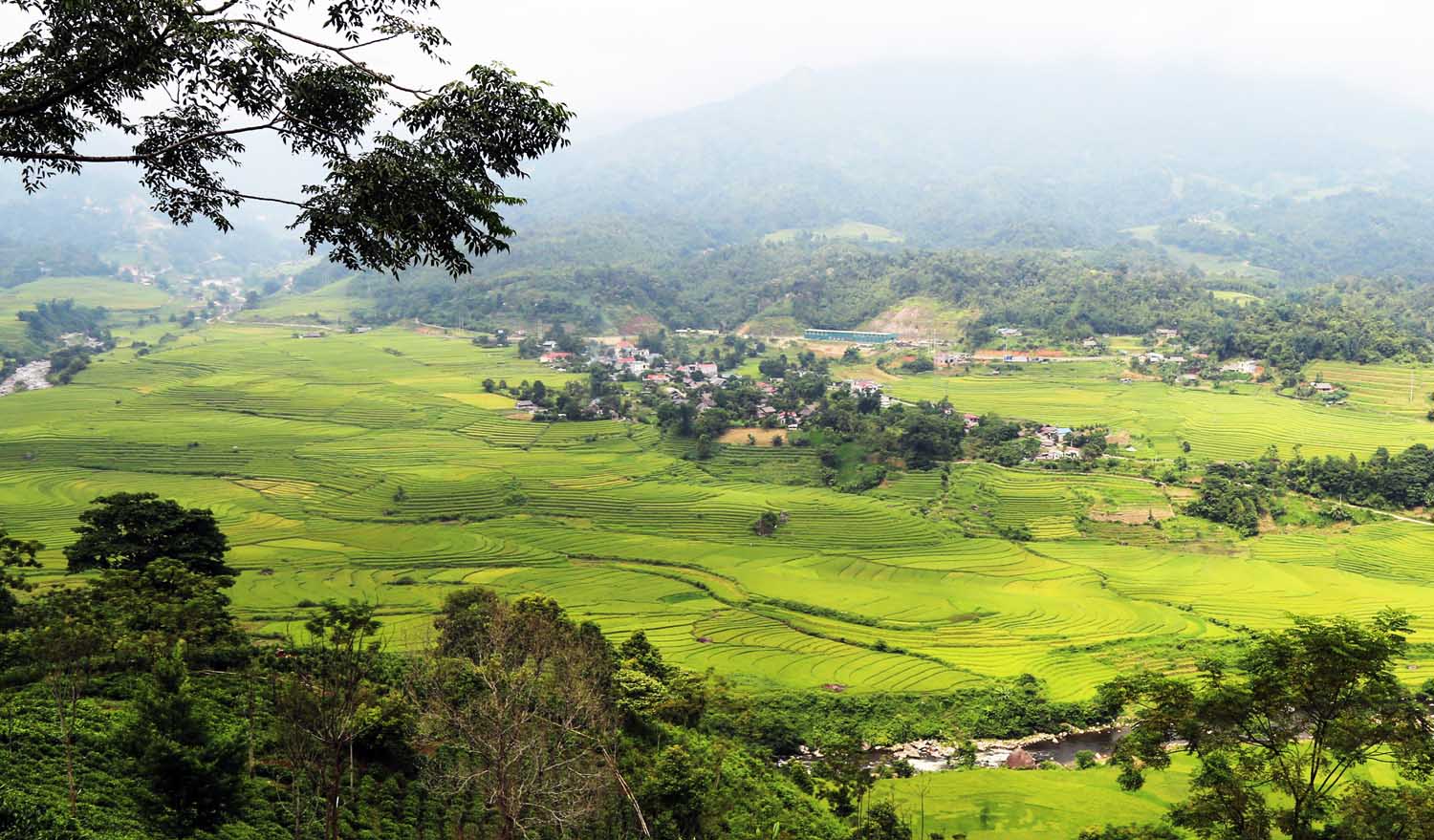 Vùng cao Bát Xát mùa lúa chín