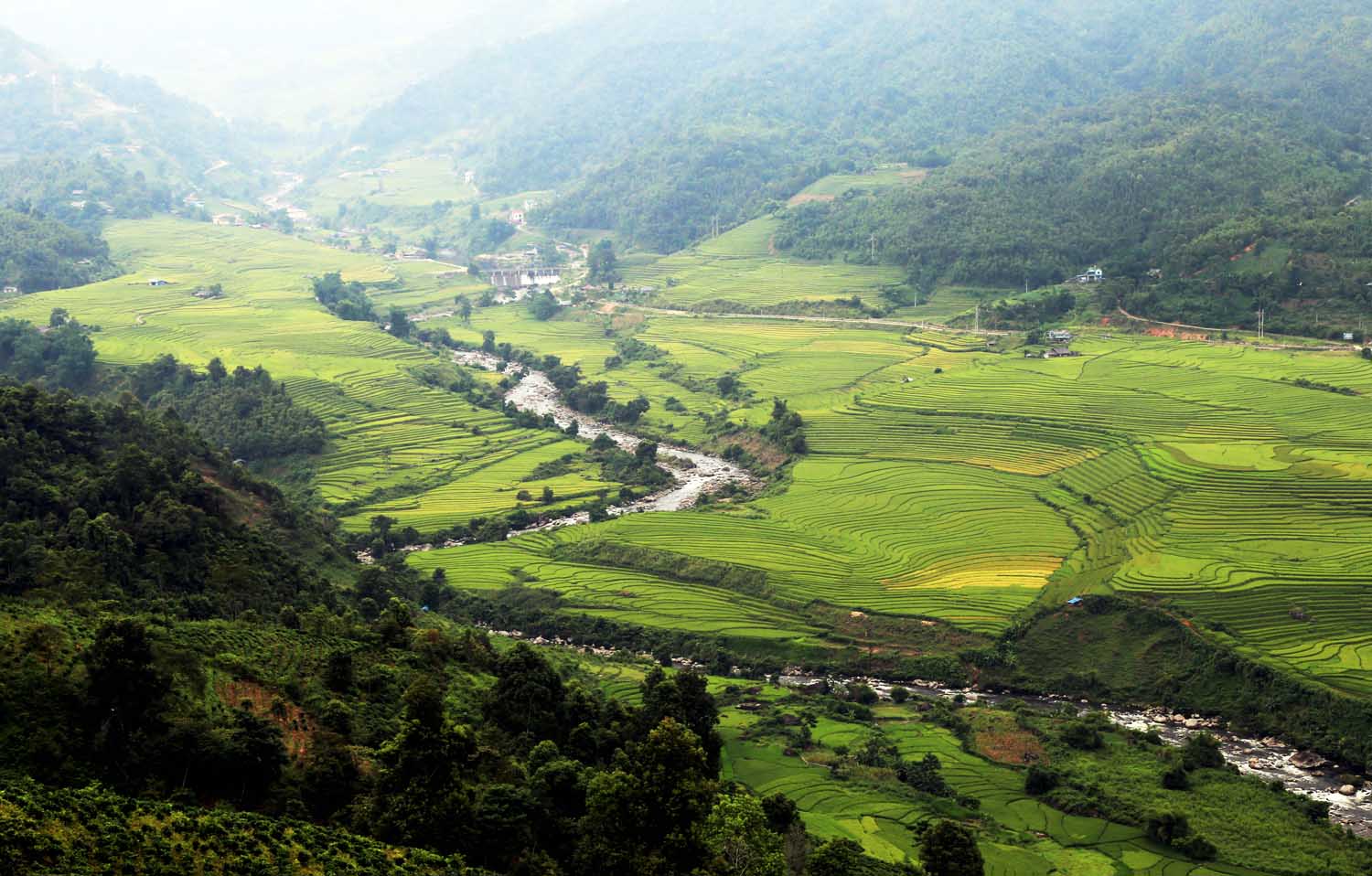 Vùng cao Bát Xát mùa lúa chín