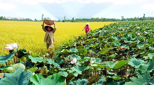 Những khu sinh thái hấp dẫn du khách tại Việt Nam