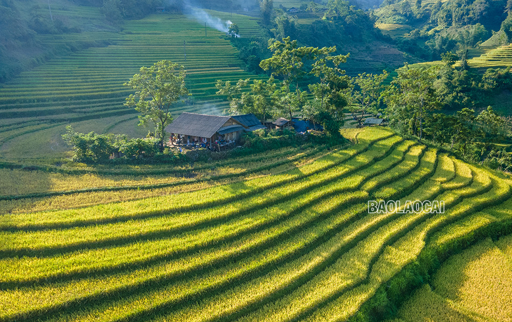 Quyến rũ mùa thu vàng Bát Xát Quyến rũ mùa thu vàng Bát Xát