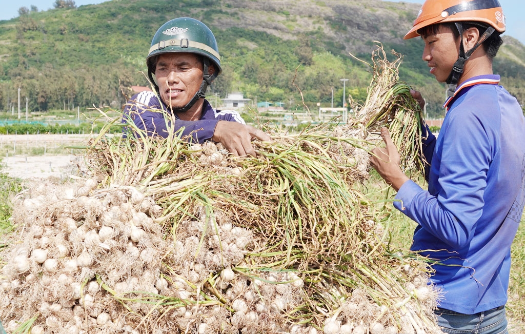 Công bố 11 đề cử ẩm thực, đặc sản Việt Nam xác lập kỷ lục châu Á Công bố 11 đề cử ẩm thực, đặc sản Việt Nam xác lập kỷ lục châu Á