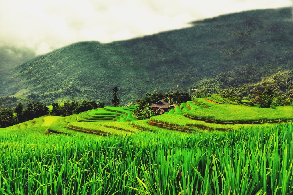 Hà Giang: Vẻ đẹp 3 thôn Nà Thác, Khuổi My, Lùng Vài Hà Giang: Vẻ đẹp 3 thôn Nà Thác, Khuổi My, Lùng Vài