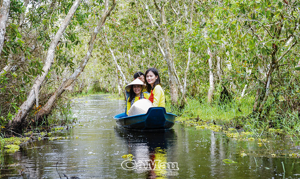 Cà Mau: Bơi xuồng ba lá giữa U Minh Hạ Cà Mau: Bơi xuồng ba lá giữa U Minh Hạ