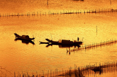 Vẻ hút hồn của phá Tam Giang - Đầm phá lớn nhất Đông Nam Á Vẻ hút hồn của phá Tam Giang Đầm phá lớn nhất Đông Nam Á