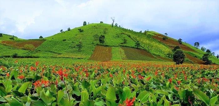 Khám phá những tuyến - điểm du lịch tại Chư Păh, Gia Lai