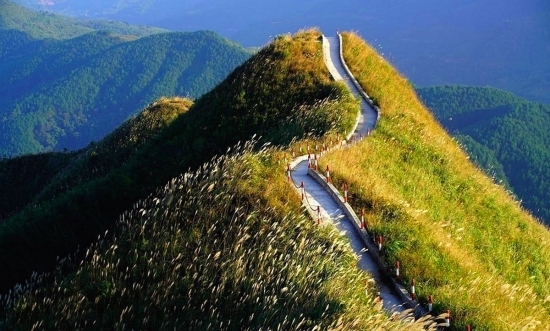 ''Mùa vàng'' du lịch Đông - Tây Bắc ''Mùa vàng'' du lịch Đông - Tây Bắc