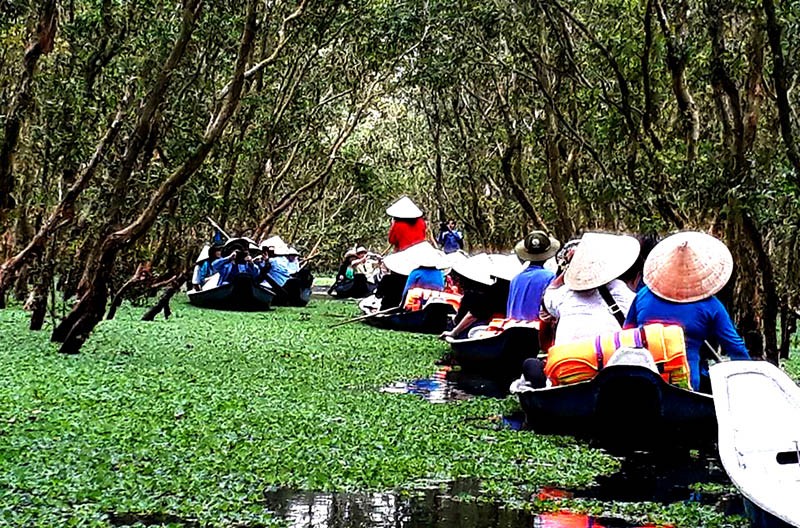 Về An Giang khám phá rừng Tràm Trà Sư Về An Giang khám phá rừng Tràm Trà Sư