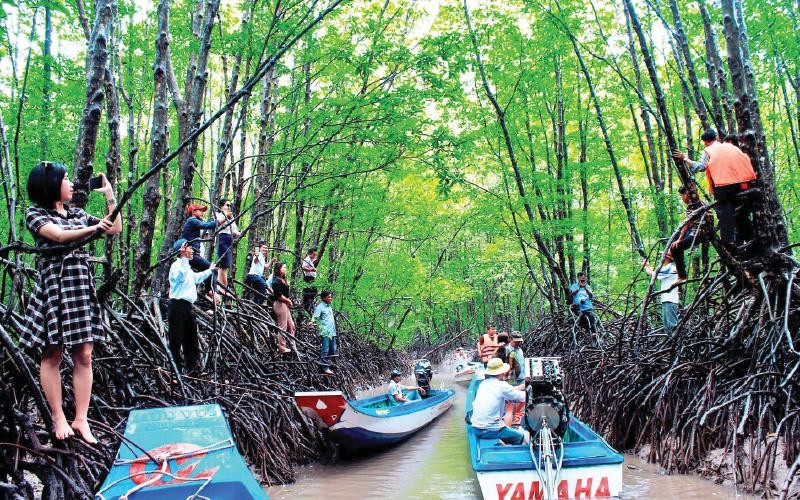 Trải nghiệm "Xanh": Nơi địa đầu Đất Mũi Trải nghiệm "Xanh": Nơi địa đầu Đất Mũi