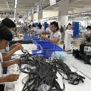 Chính thức ban hành Quy định về xuất xứ hàng hóa trong Hiệp định RCEP