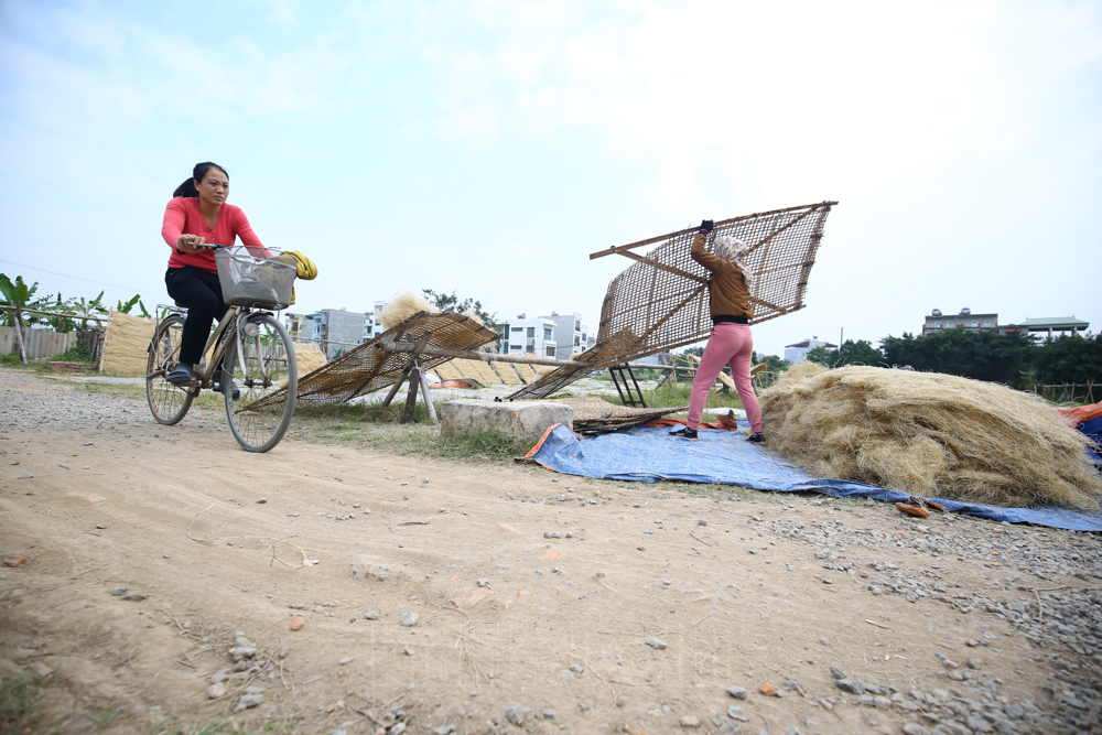 [Ảnh] Nét đẹp của làng miến hơn 400 năm giữa lòng Thủ đô