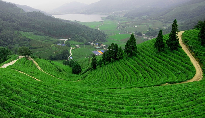 10 điểm du lịch nổi tiếng của 