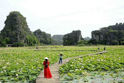 Hang Múa - Vạn Lý Trường Thành thu nhỏ của Ninh Bình