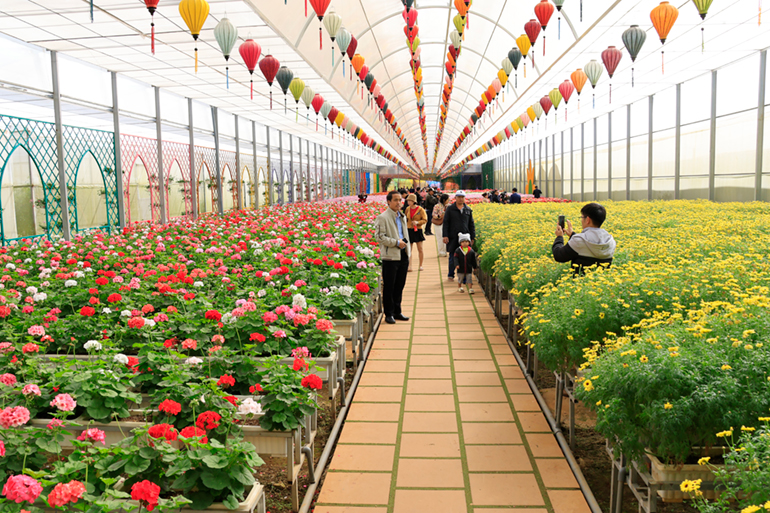 Khai mạc chương trình tham quan làng hoa Vạn Thành chào đón Festival Hoa Đà Lạt 2022