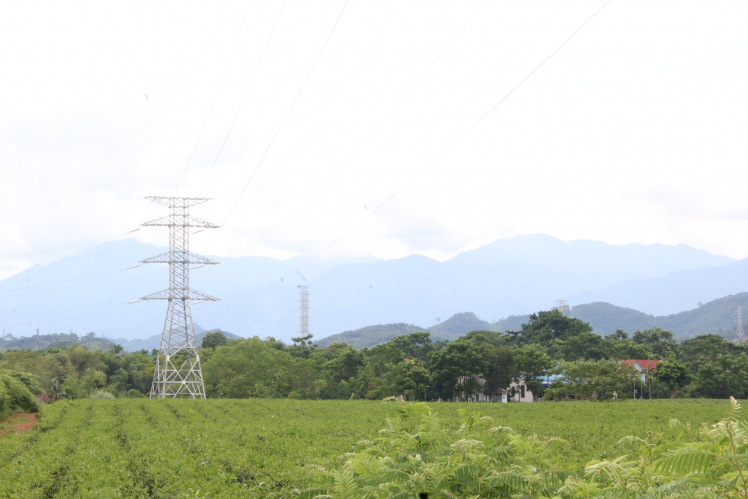 Phải sớm giải quyết điểm nghẽn giải phóng mặt bằng cho dự án ĐZ 220 kV mạch kép đấu nối TBA 220 kV Bắc Quang