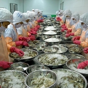 Nỗ lực đưa giá trị xuất khẩu tôm cán mốc 3,9 tỷ USD trong năm 2021