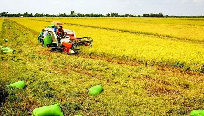 Tin nhanh bất động sản ngày 22/3: Chấp thuận chủ trương đầu tư KCN Tây Bắc Hồ Xá (Quảng Trị)