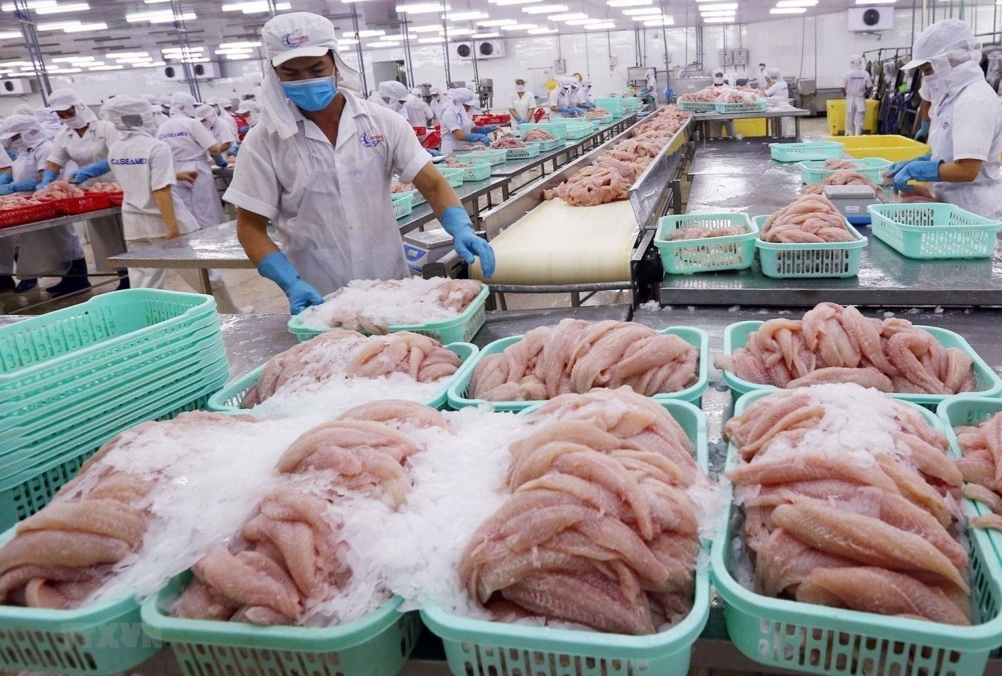 Quý 1/2022,  xuất nhập khẩu tăng trưởng cao, ước đạt 176 tỷ USD, tăng hơn 14%