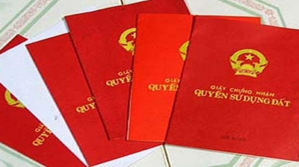 Tin nhanh bất động sản ngày 12/5: Chưa được giao đất, Công ty Thanh Bình đã thực hiện dự án tại Đông Anh