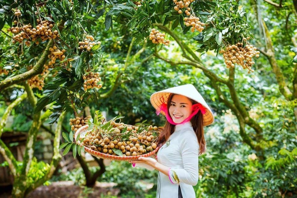 Đẩy mạnh thông tin truyền thông cho nông sản gặp khó khăn trong mùa dịch