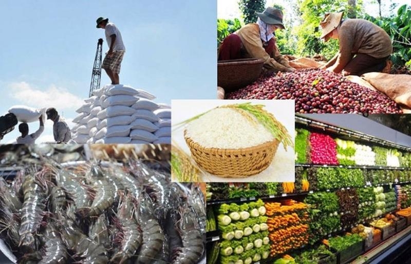 Tổng kim ngạch xuất, nhập khẩu nông, lâm, thủy sản ước đạt hơn 58 tỷ USD Tổng kim ngạch xuất, nhập khẩu nông, lâm, thủy sản ước đạt hơn 58 tỷ USD