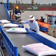 viet nam xep hang nhat goi thau 30 nghin tan gao cho philippines