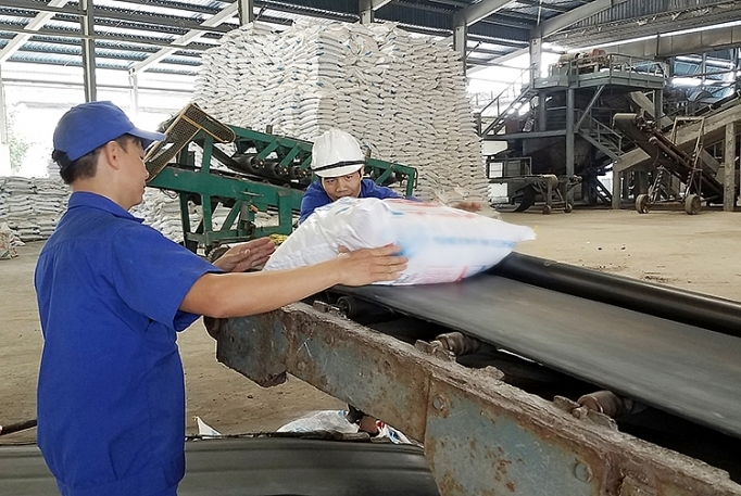 mien thue vat cho doanh nghiep phan bon loi bat cap hai