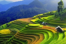 ninh binh nhung diem den thu hut du khach