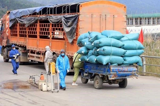 Ngành giao thông nỗ lực đảm bảo lưu thông tiêu thụ nông sản