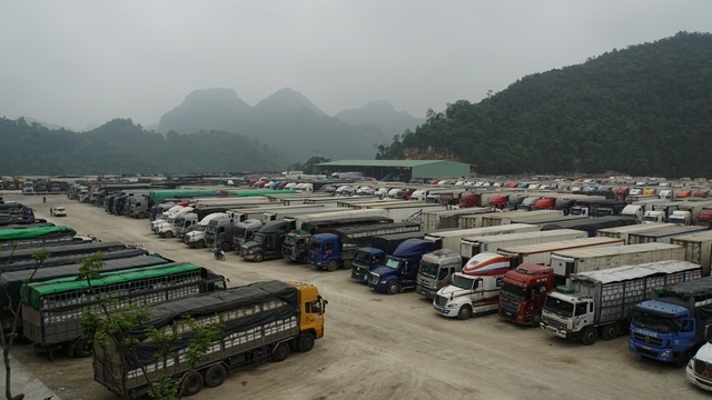Hải quan nỗ lực lưu thông hàng hóa trong dịp Tết Nguyên đán