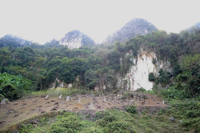 doan thanh nien vpi to chuc chuong trinh dao tao thuc dia tai tay bac