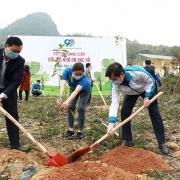 Khởi động Tháng Thanh niên 2021 với nhiều hoạt động ý nghĩa