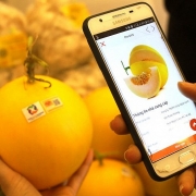 Truy xuất nguồn gốc - Ứng dụng nền tảng số trong hỗ trợ kết nối, tiêu thụ nông sản Việt