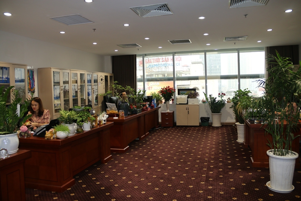 Diện mạo mới với 5S tại Cơ quan Tập đoàn